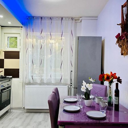 Joy City Stay Spacious Comfortable Timişoara Buitenkant foto