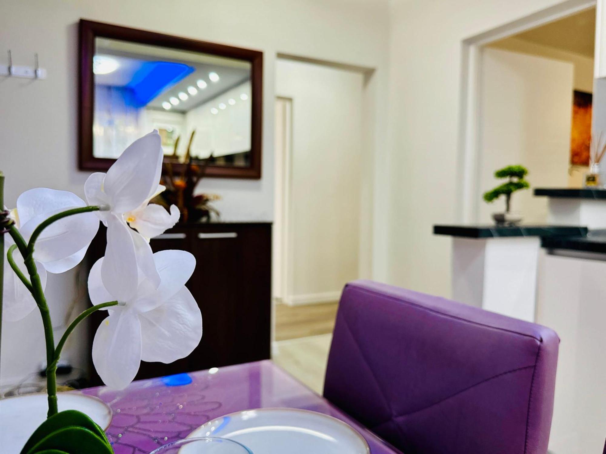 Joy City Stay Spacious Comfortable Timişoara Buitenkant foto